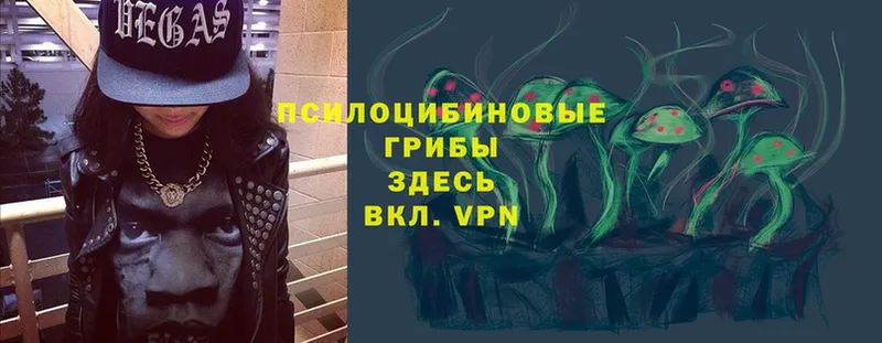 Псилоцибиновые грибы мицелий  Кингисепп 